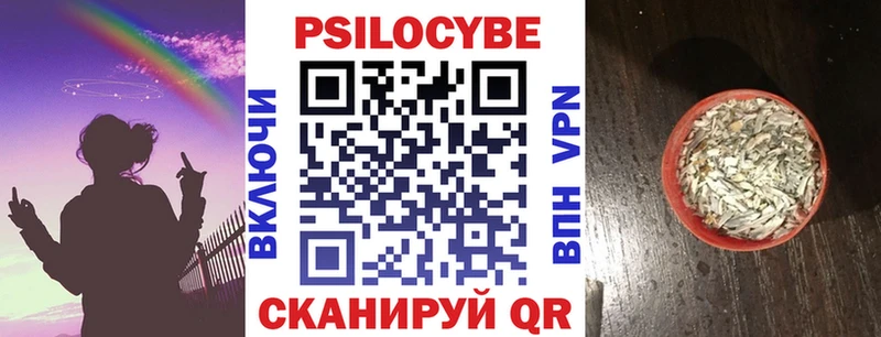 Галлюциногенные грибы MAGIC MUSHROOMS  блэк спрут ссылка  Кизляр 