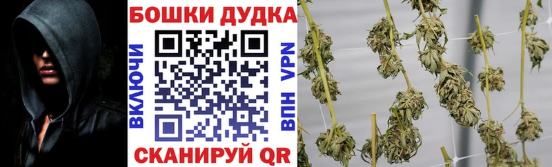 Каннабис Amnesia  Кизляр 